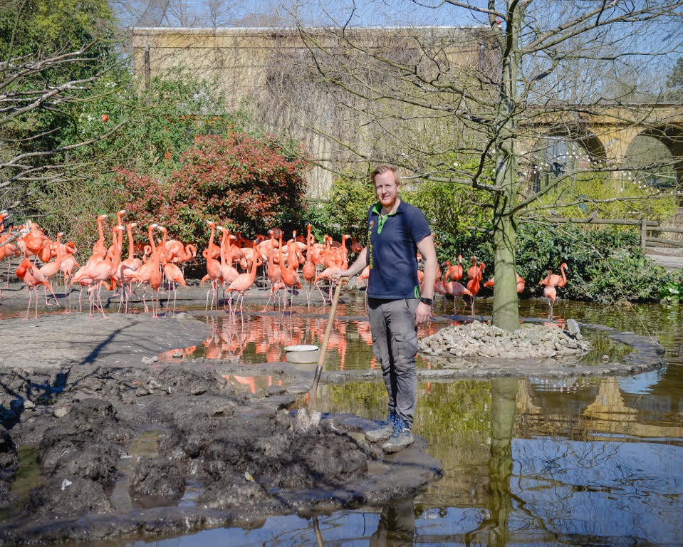 Onwerkelijk stil in Alphens vogelpark Avifauna