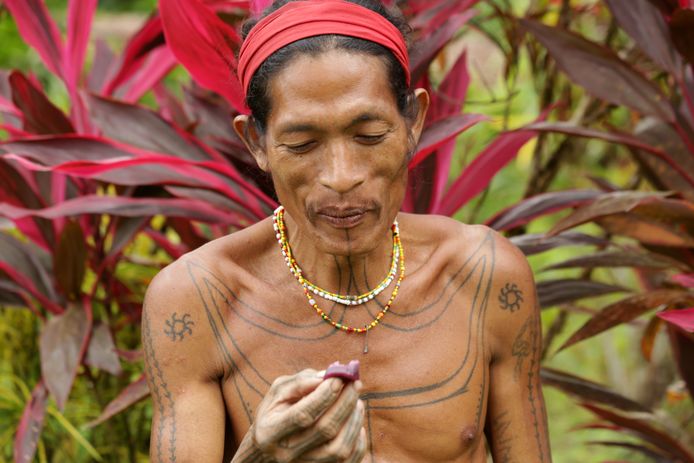 IN BEELD. Indonesische stam ontdekt Gentse neuzekes