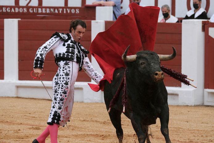 Espagne Deux Taureaux Appeles Feministe Et Nigerian Tues Lors D Un Festival Provoquent L Indignation Monde 7sur7 Be
