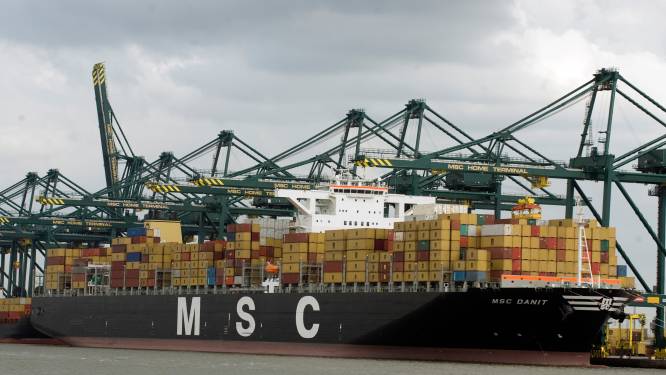 MSC krijgt eigen terminal in Rotterdam, slecht nieuws voor Antwerpen? 
