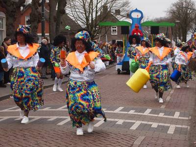 Greep uit de optochten in Zuidoost-Brabant