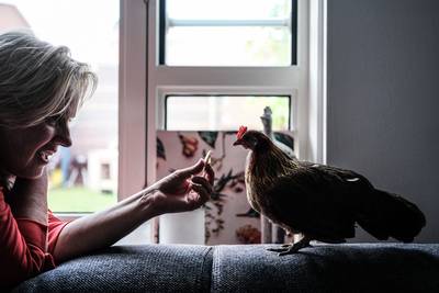 Kip Nugget eet graag mee met baasje Bianca: ‘Het liefst pikt ze het eten van je vork’