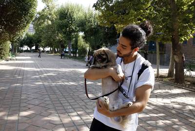 Verbod op huisdieren: nieuw wetsvoorstel in Iran ziet honden als “symbool van verwestersing”