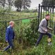 Het dorp Herwijnen vecht tegen (de radar van) Defensie – en wint de eerste slag