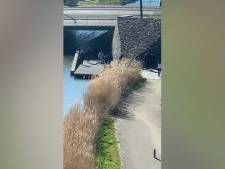 Vier tieners blijven langer in voorarrest voor mishandeling Rijswijker (53)