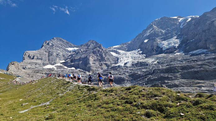 Since 1900, the size of Alpine glaciers has halved.