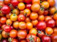 Les 12 fruits et légumes qu'il vaut mieux acheter bio