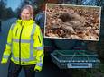 Karen Bruursema moet als medewerkster van het Noord-Veluwse valwildteam van de Stichting Wildaanrijdingen Nederland de afgelopen weken ‘te vaak’ uitrukken voor een wildaanrijding. ,,Het is een enorm leed.”