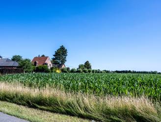 Buurtbewoners niet tevreden met nieuwe aanvraag van Ampère voor windturbine: “Teken opnieuw massaal bezwaar in” 