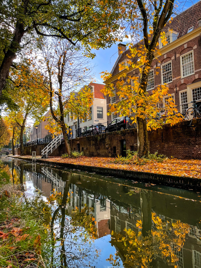 Maak Jij De Mooiste Herfstfoto s Stuur Ze Naar Ons Op Foto AD nl