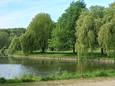 De Middenvijver in het park van Neerpede.