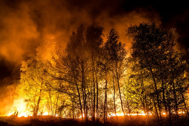 Vuurhaarden bij een zeer grote natuurbrand in de Mariapeel nabij Deurne.  Beeld Hollandse Hoogte / ANP
