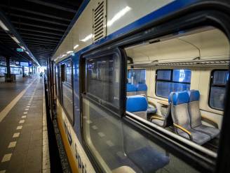 Vrouw filmt hoe man (31) zich aftrekt in trein: wijkagent herkent hem direct