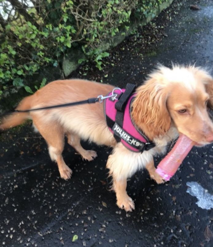 Twitter @__smcgrattan