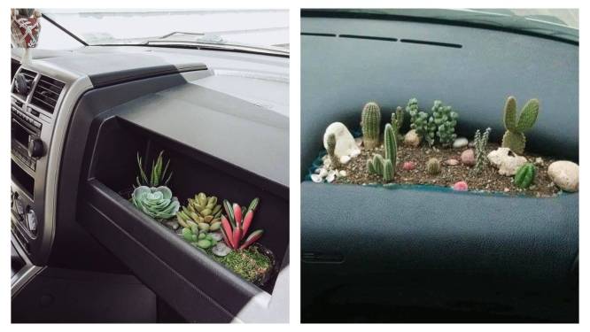 Eentje voor extreme plantenliefhebbers: met ‘cardening’ voeg je een vleugje groen toe aan je dashboard
