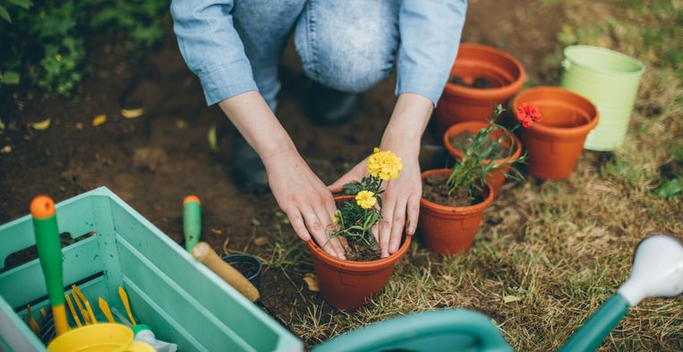 Aktentas loterij Relatie Je tuin weer in topconditie: vijf klussen om in maart te doen