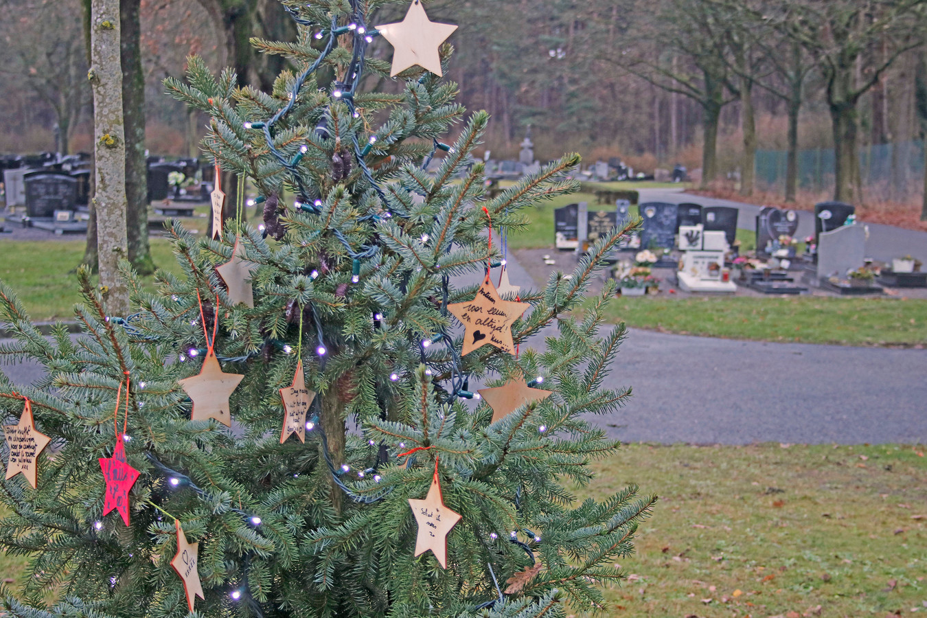 Sterren in herdenkingsboom symboliseren wie er niet meer is Foto hln.be