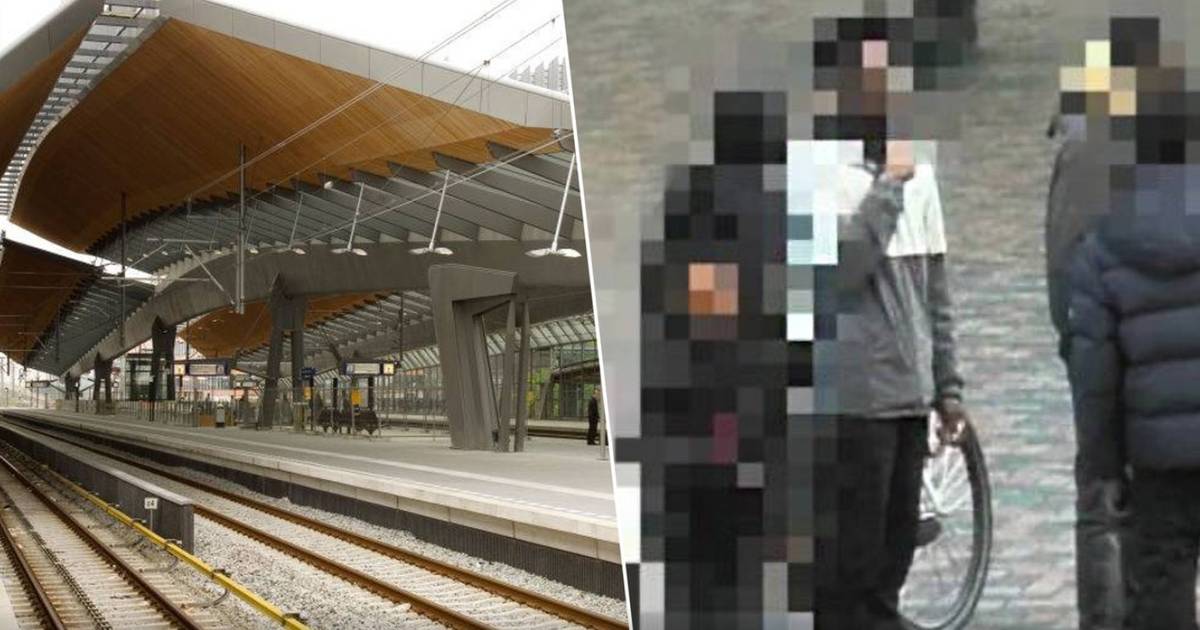 “11 Children Arrested in Connection to Violence at Bijlmer Arena Station: Lawyer Claims They Were Not All Known to Each Other”