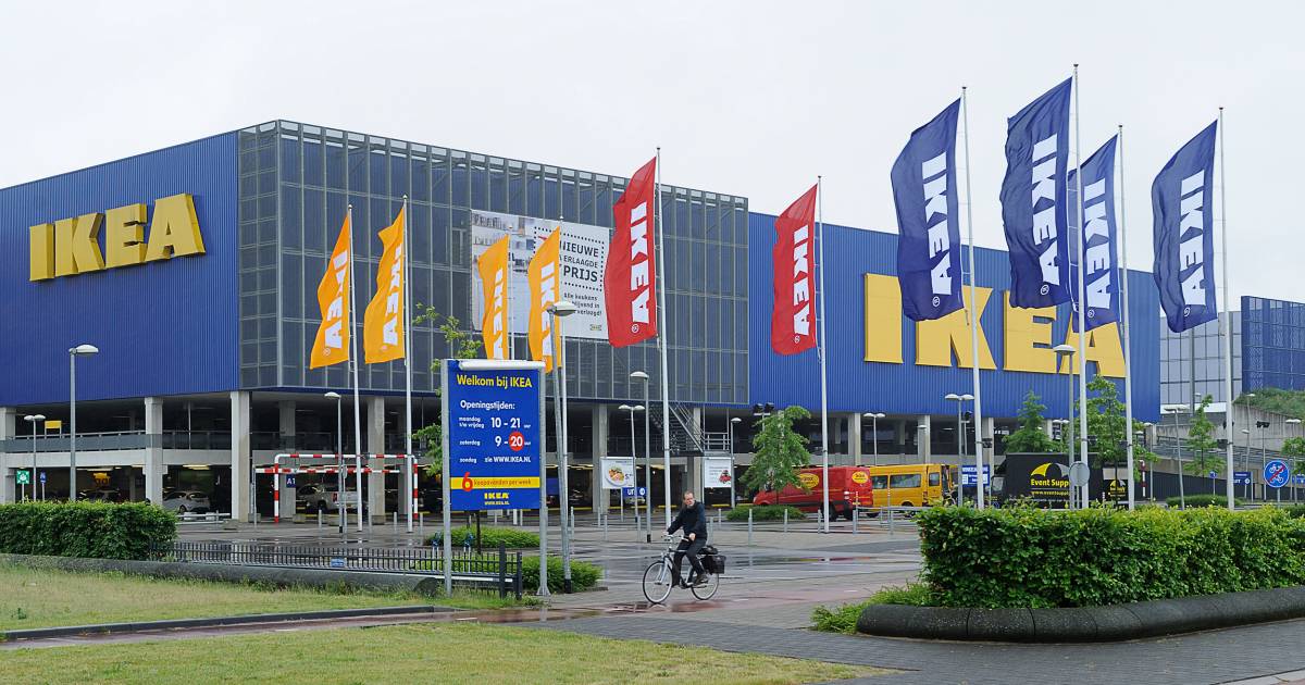 vogel bezoekt ikea restaurant in amersfoort amersfoort ad nl