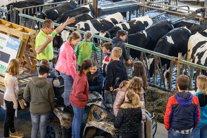 Leerlingen van De Veste kregen vrijdag les in de koeienstal van Johan de Jong.