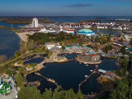Van pioniers naar doelwit: is er nog toekomst voor het Dolfinarium?