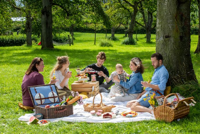 Picknicken in Borgloon (beeld ter illustratie).