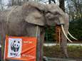 Gulle schenker laat ruim 10 miljoen euro na aan WWF