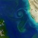 Forse toename van algenbloei, een belangrijke graadmeter voor de opwarming van de aarde