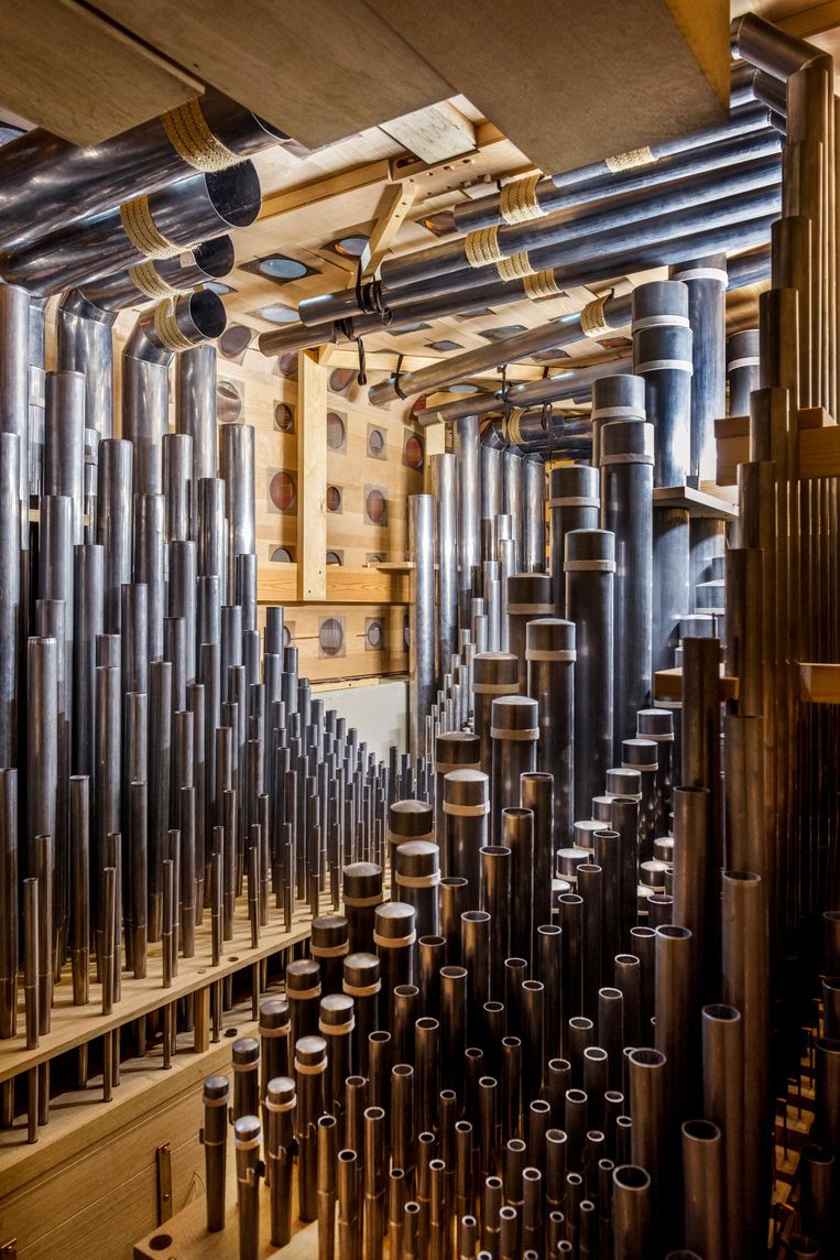 De pijpen van het nieuwe orgel Beeld Tom Janssen