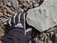 200 miljoen jaar oude voetafdruk van dinosaurus gevonden op Antarctica