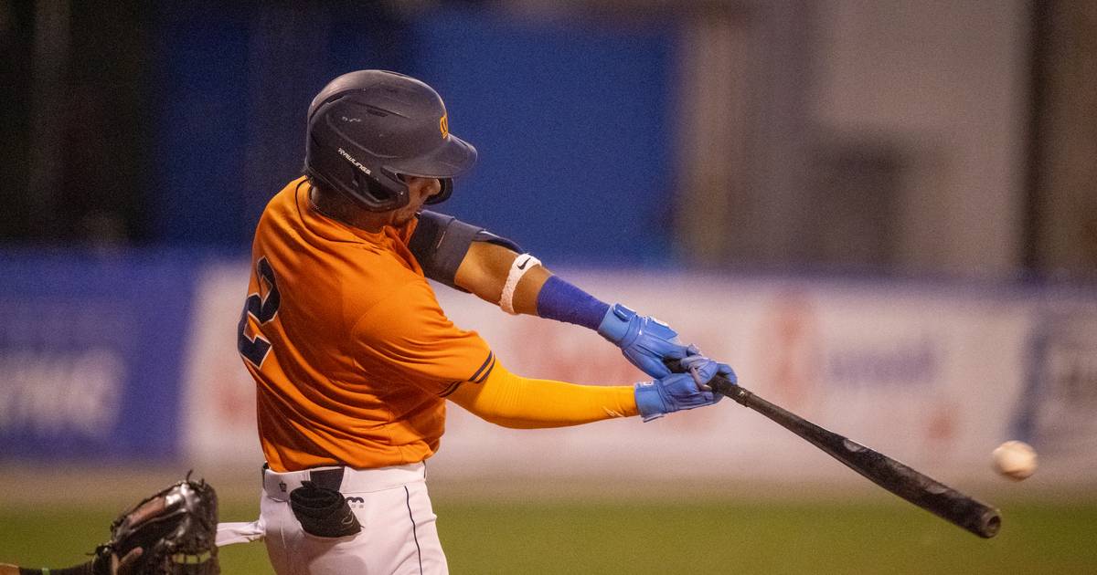 Dutch baseball players win bronze at the European Baseball Championship |  Other sports