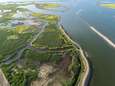 Eerste vijf eilanden van Marker Wadden zijn klaar: ‘Heel nieuw landschap’