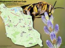Hulp van buitenaf voor betere natuur in Land van Cuijk