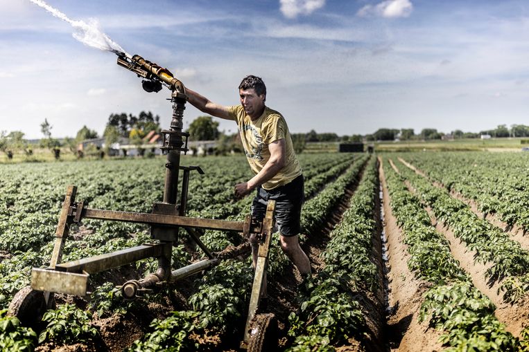 Franky Snaet aan het werk met zijn waterkanon. Beeld Franky Verdickt
