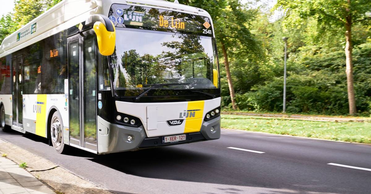 Passend aansluiten meester Nieuwe buslijn verbindt deelgemeentes in Scherpenheuvel-Zichem |  Scherpenheuvel-Zichem | hln.be