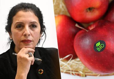 Stickers en fruitverpakkingen weldra verleden tijd? Minister Khattabi wil nog meer wegwerpplastic bannen