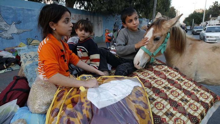 Een Palestijns jongetje neemt afscheid van een paard voordat hij met zijn gezin wordt geëvacueerd naar een schuilplaats van de Verenigde Naties in Gaza-stad. Beeld afp