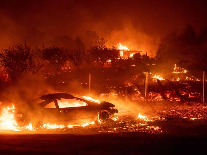 Bosbranden bedreigen Californië