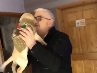 VIDEO. Opa die dit jaar zowel vrouw als hondje verloor smelt als hij ziet wat hij krijgt voor kerst