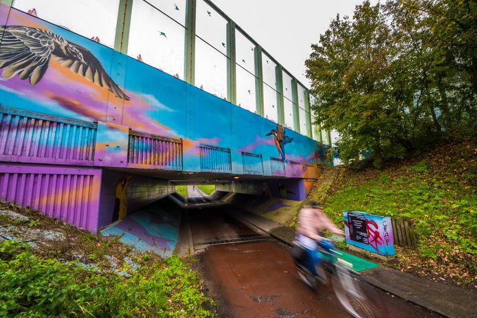 Bij de fietstunnels in de Enschedese zuidwijken zijn een aantal keren overvallen gepleegd.