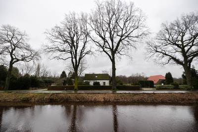 Plan voor wolvenhek jaagt angst aan in Helenaveen; ‘Geitjes beschermd, maar wij dan?’