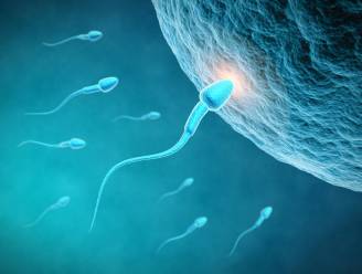 Sperma bedreigd door 'modern leven': 60% minder zaadcellen dan 40 jaar geleden