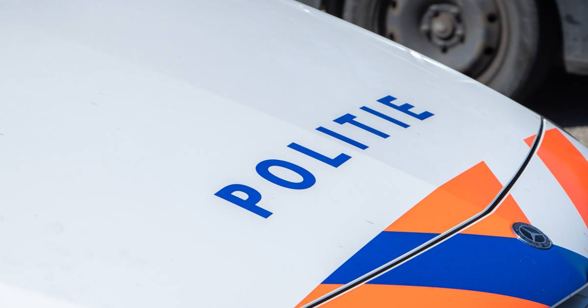 Ongeluk op A50 bij Apeldoorn-Noord met vos.