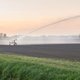 Zóveel mensen maken zich grote zorgen om de droogte in Nederland