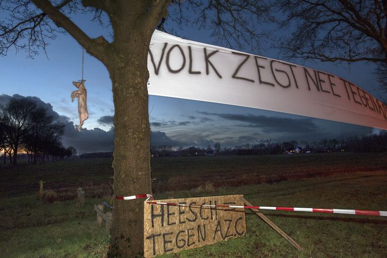 In Heesch werden eerder in januari twee dode varkens bij een toekomstig azc neergelegd. Beeld  Ruud Rogier   