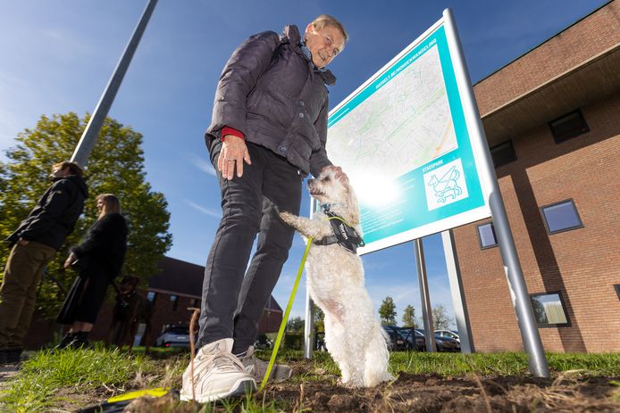 Vanaf vandaag kunnen de Hasseltse hondenbaasjes een wandelroute mét bijhorende activiteiten uitproberen.