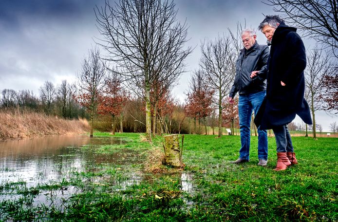 Marian en Adrie van der Linden bij de afgezaagde boom in het Herdenkingsbos De Vlinder in Dordrecht.