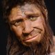 Seks in de prehistorie: onze voorouders deelden zeker drie keer de lakens met neanderthalers