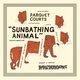 Parquet Courts - Sunbathing Animal
