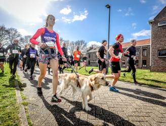 Natuurloop charmeert 650 lopers met parcours door Bulskampveld